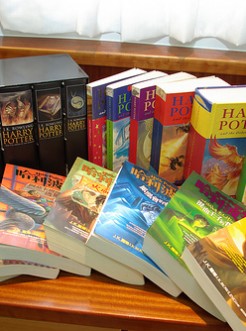 Harry Potter, historia chłopca, który przeżył