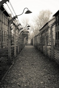 Auschwitz-Birkenau